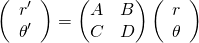 \[ \left( \begin{array}{c}r'\\\theta'\end{array} \right) = \begin{pmatrix} A & B \\ C & D \end{pmatrix} \left( \begin{array}{c}r\\\theta\end{array} \right) \]